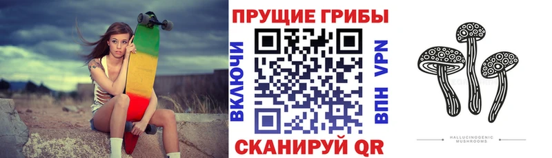 купить  цена  Минусинск  Псилоцибиновые грибы мухоморы 
